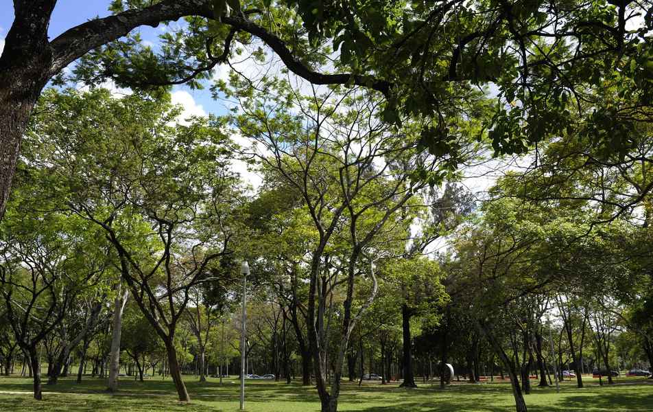 Bosque da Reitoria