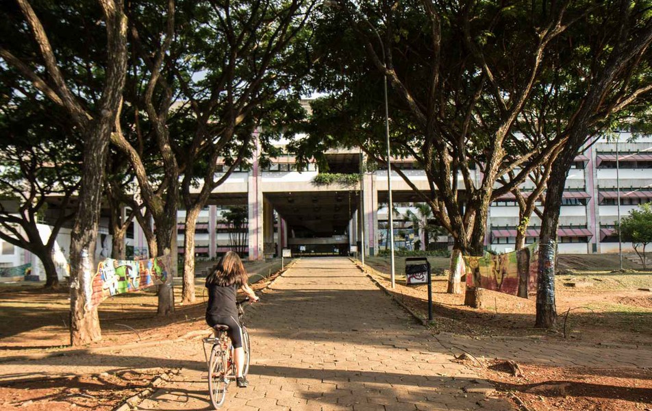 (Faculdade de Filosofia e Ciências Humanas (Fafich)