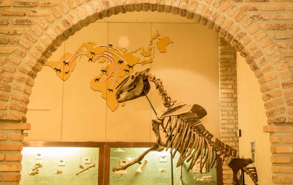 Museu de História Natural e Jardim Botânico da UFMG, em Belo Horizonte