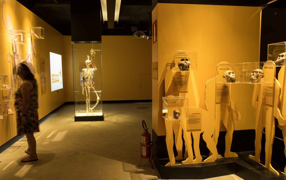 Espaço Interativo de Ciências da Vida, no Museu de História Natural e Jardim Botânico da UFMG