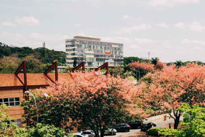 Lucas Braga/UFMG Reitoria, vista do ICEX