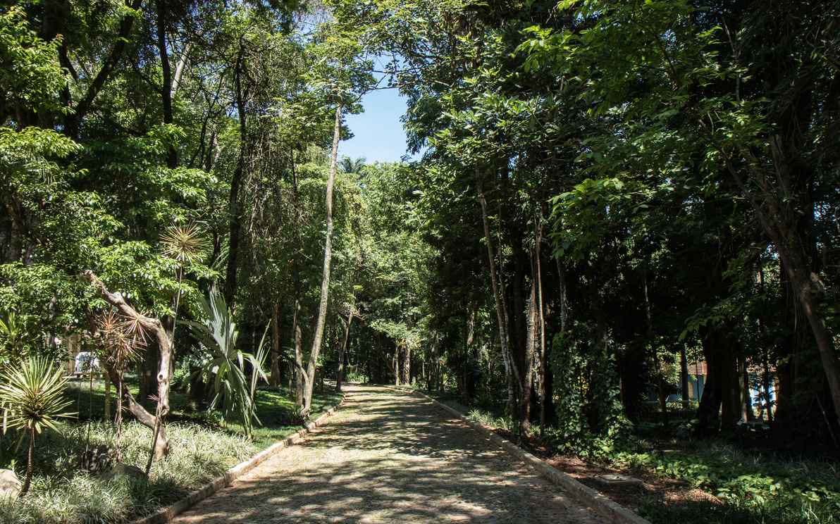 Lucas Braga/UFMG Ocupando área de 600.000 m², o MHNJB oferece opções de passeio ao ar livre e ao seu acervo científico