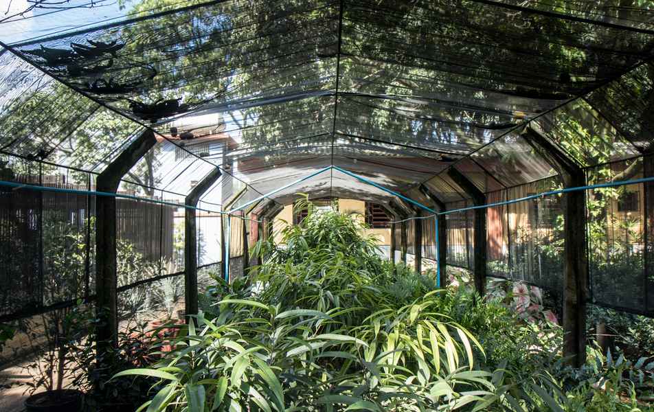 Horto do campus Pampulha