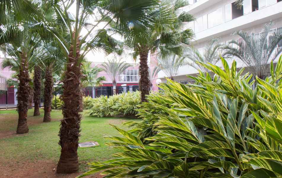 Jardim interno da Faculdade de Ciências Econômicas da UFMG
