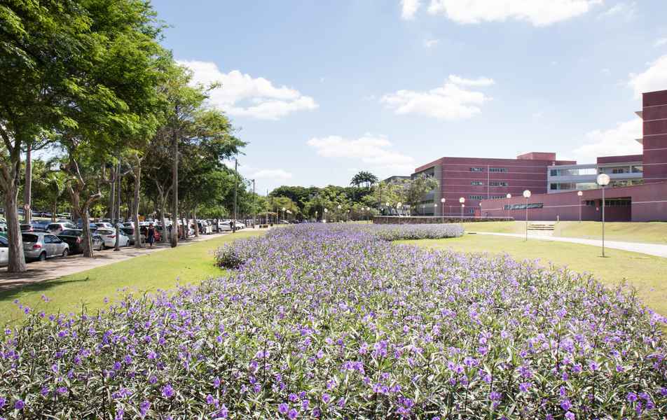Jardim em frente à Faculdade de Ciências Econômicas da UFMG