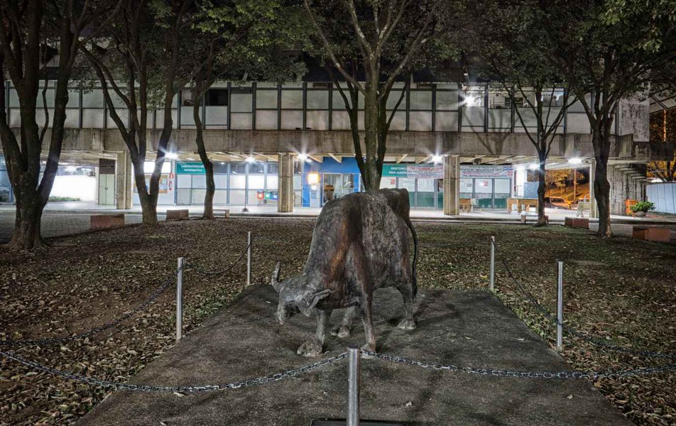 Escultura de Jarbas Juarez em frente ao prédio da Escola de Veterinária.