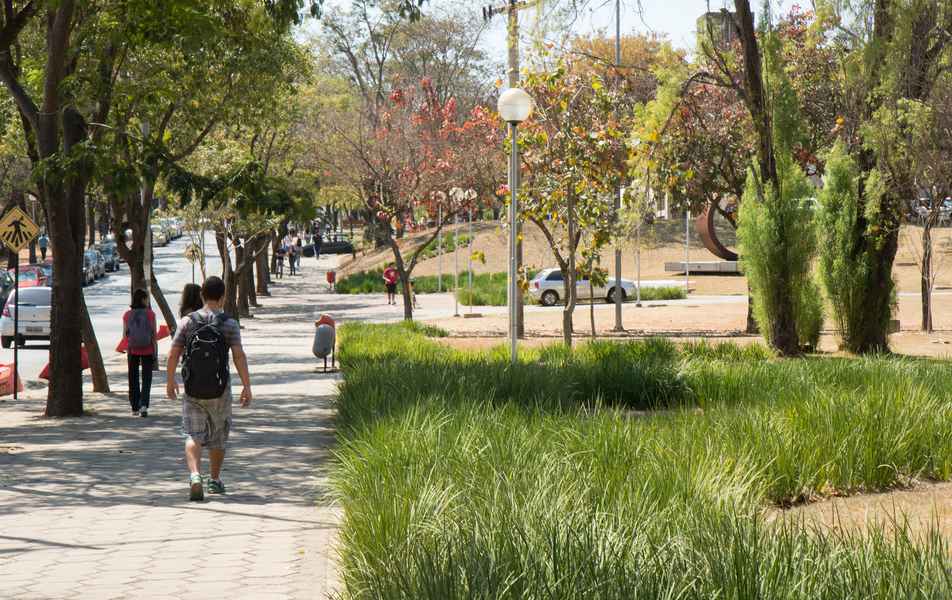 Jardim próximo à Escola de Engenharia da UFMG