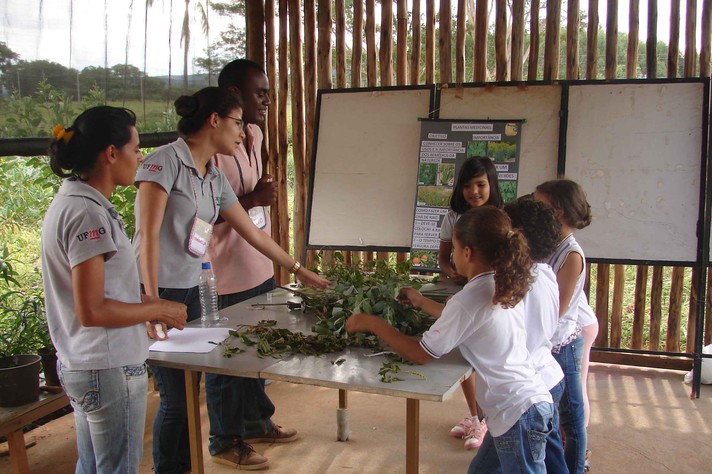 ICA / UFMG Sítio de Saluzinho
