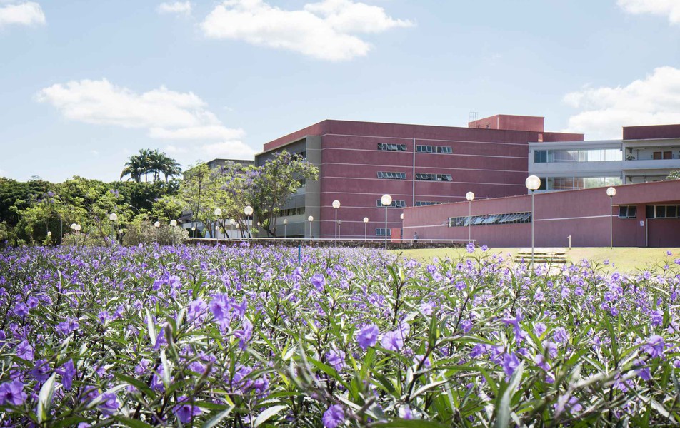 Jardins em frente ao prédio da FACE
