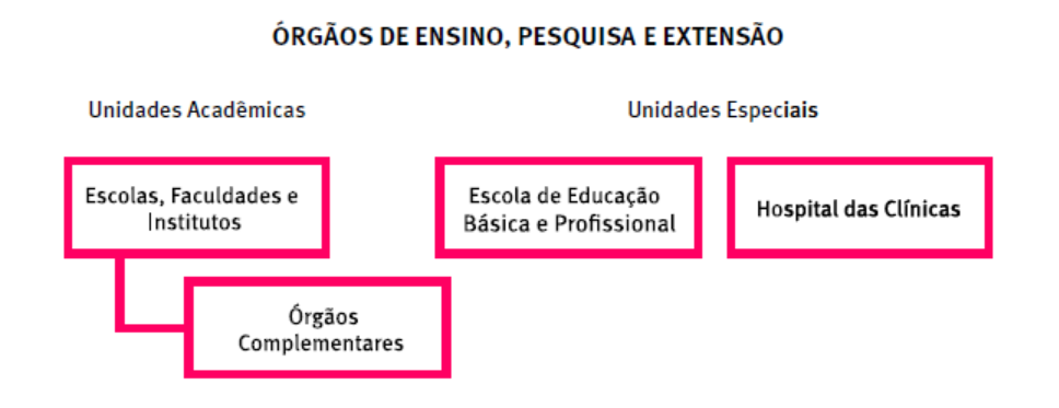 Relatório de Gestão 2019 Relatório de Gestão 2019